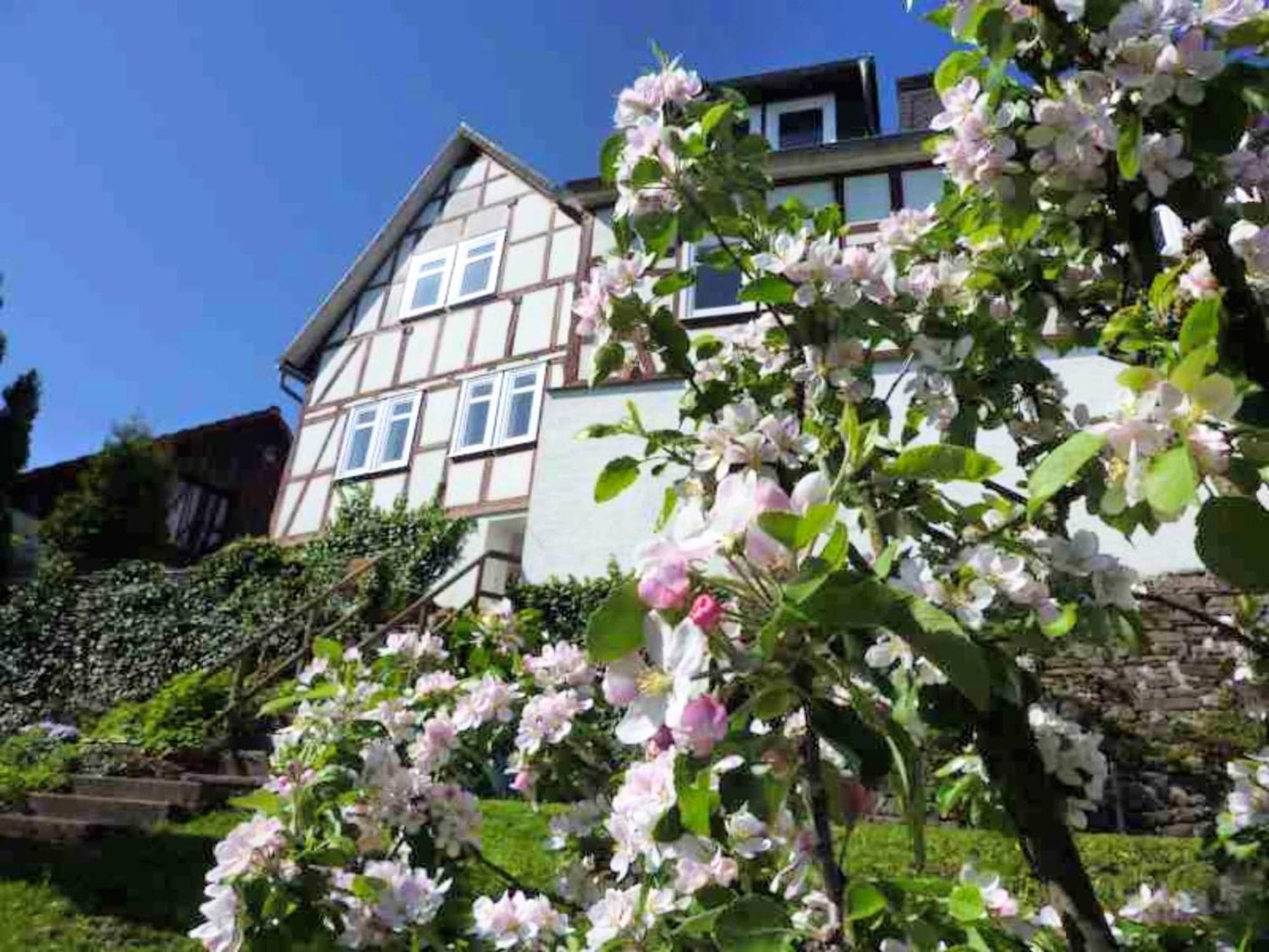 Delightful Holiday Home In Battenberg Near Forest 외부 사진